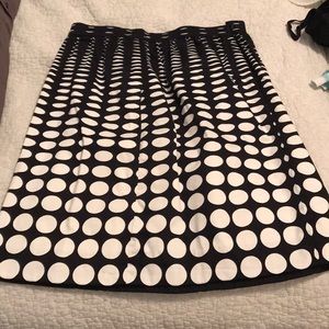 JCrew Navy and White Polka Dot skirt size 10